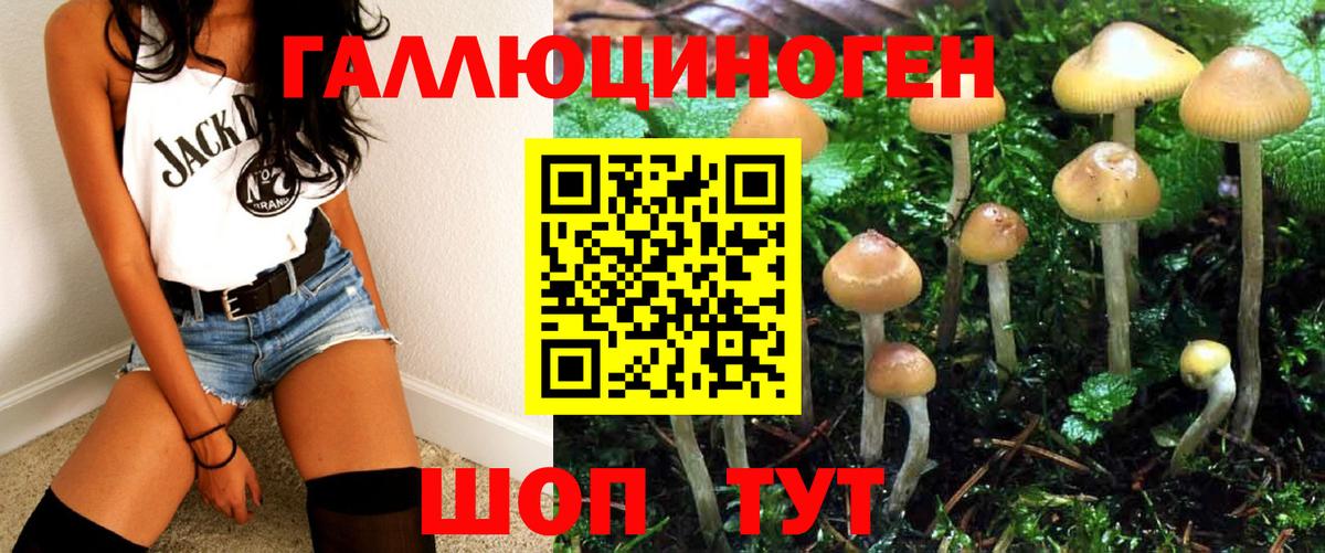 Галлюциногенные грибы мухоморы  Вход с VPN  сколько стоит  Ливны 